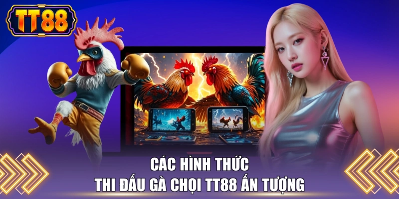 Các hình thức thi đấu gà chọi TT88 ấn tượng