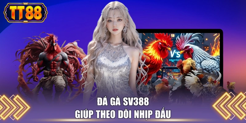Đá gà sv388 giúp theo dõi nhịp đấu