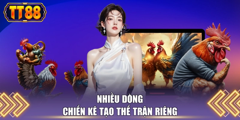 Nhiều dòng chiến kê tạo thế trận riêng